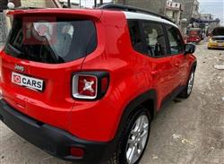 جيب رينيجيد